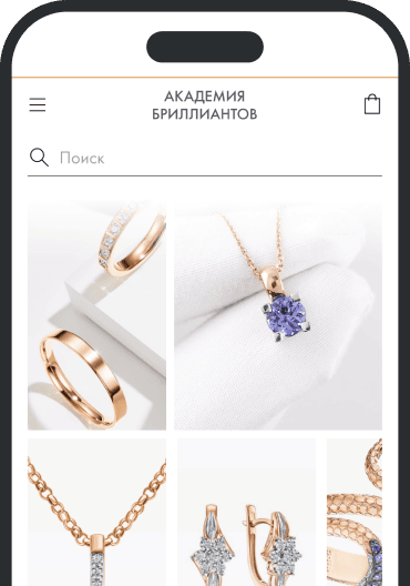 Приложение Академия Бриллиантов